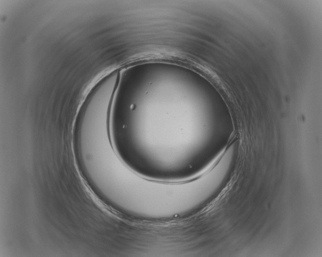 X0000079581034200612221425