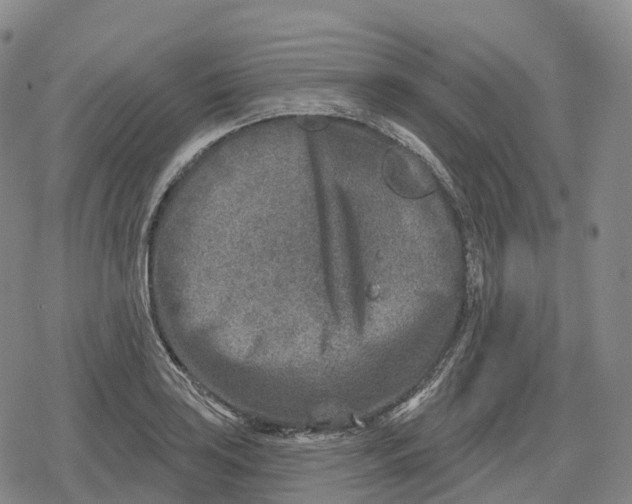 X0000079581035200612221425