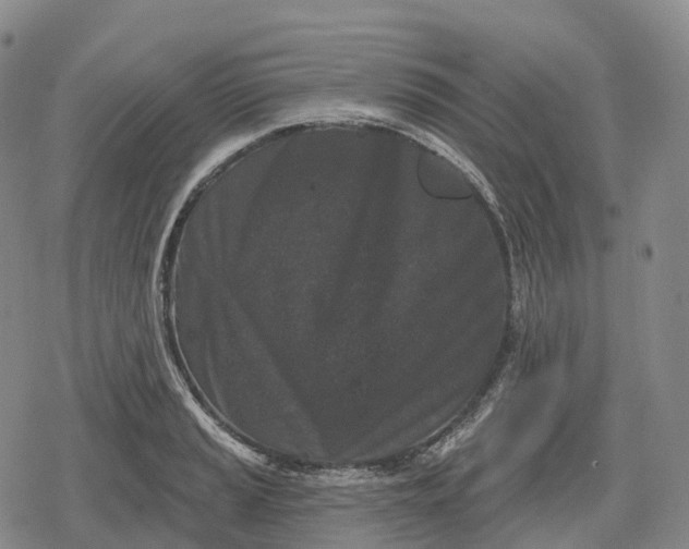 X0000079581037200612221425