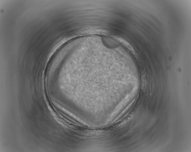 X0000079581039200612221425