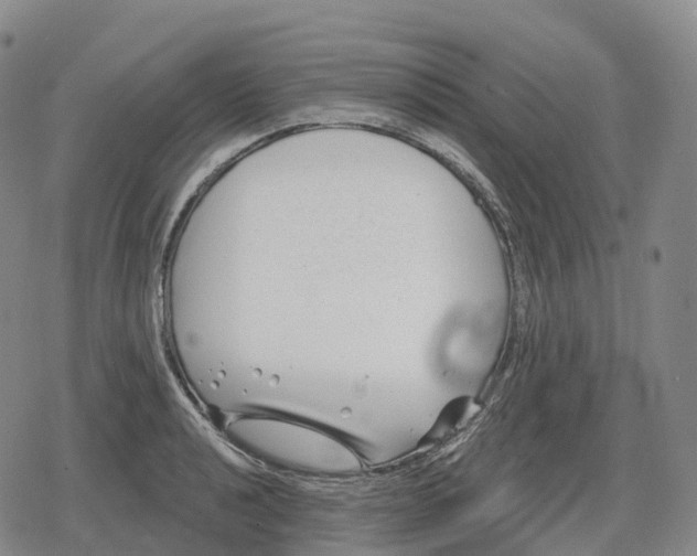 X0000079581040200612221425