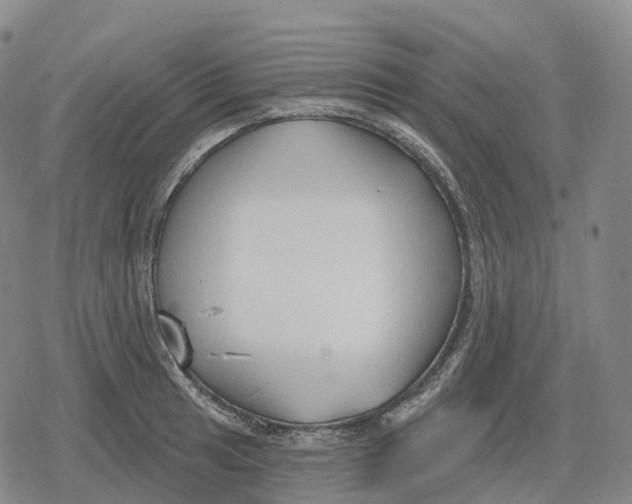 X0000079581041200612221425