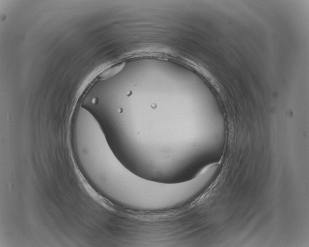 X0000079581042200612221425