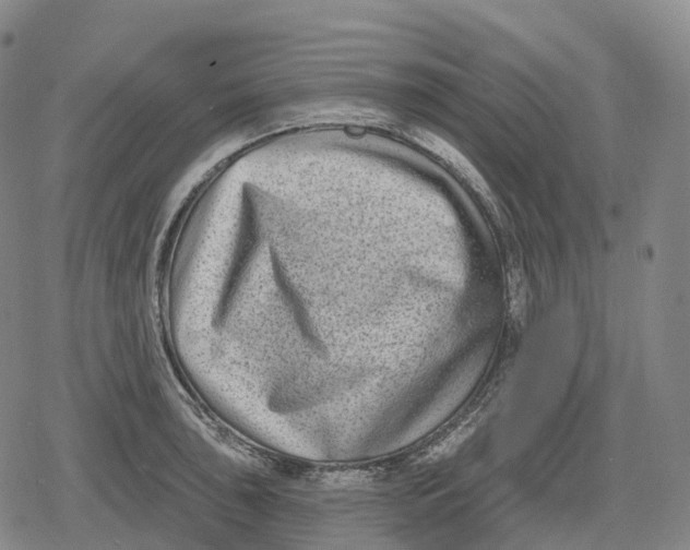 X0000079581043200612221425