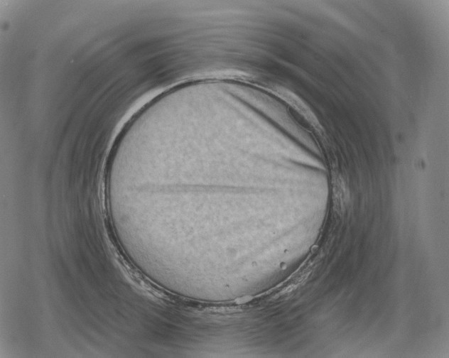 X0000079581044200612221425