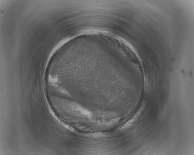 X0000079581045200612221425