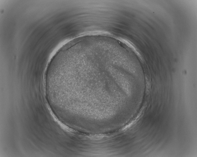 X0000079581046200612221426