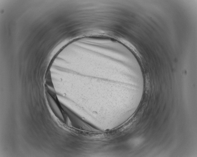 X0000079581047200612221426