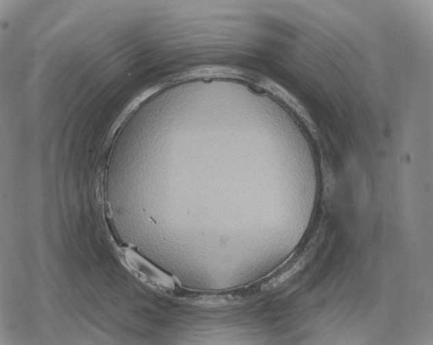 X0000079581049200612221426