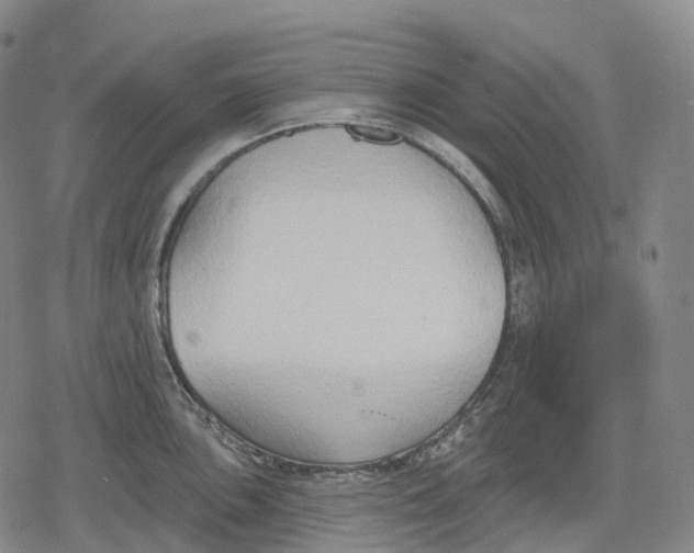 X0000079581051200612221426