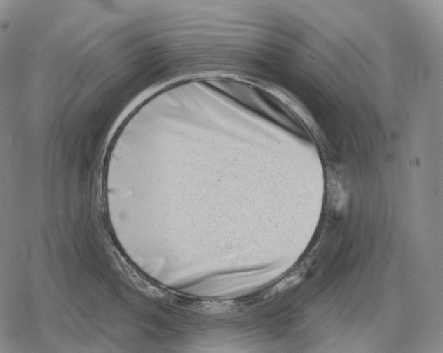 X0000079581052200612221426