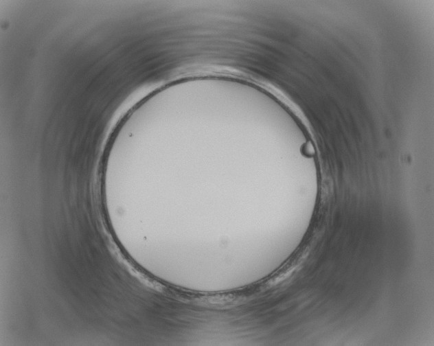 X0000079581053200612221426