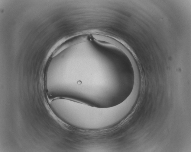 X0000079581054200612221426