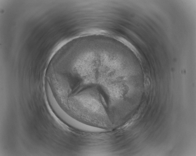 X0000079581055200612221426