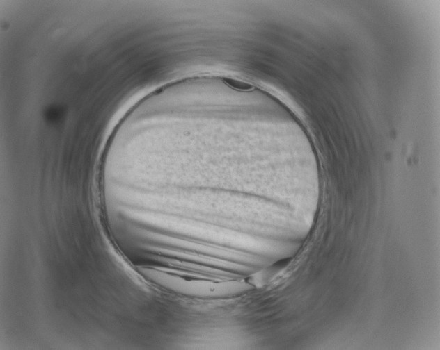 X0000079581056200612221426