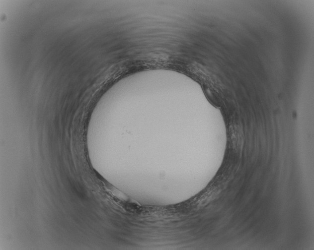 X0000079581057200612221425