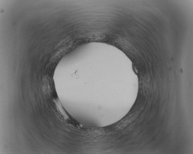 X0000079581058200612221425