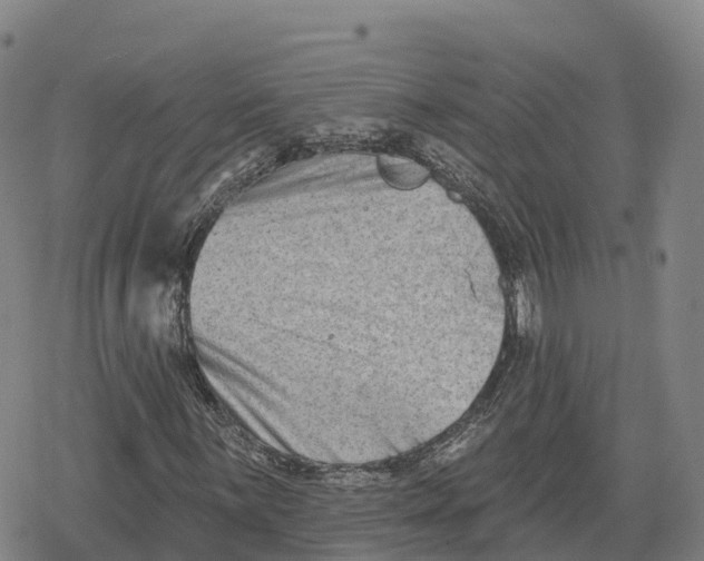 X0000079581059200612221425