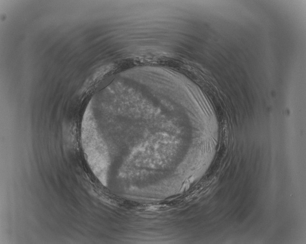 X0000079581060200612221425