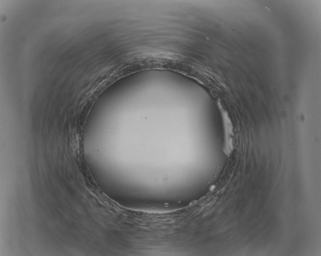 X0000079581061200612221425