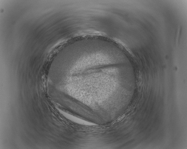 X0000079581063200612221425