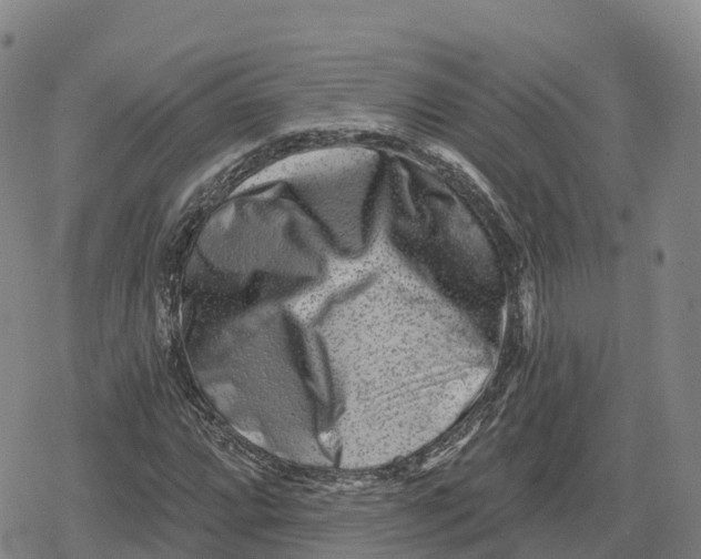 X0000079581064200612221425