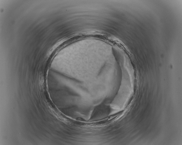 X0000079581065200612221425