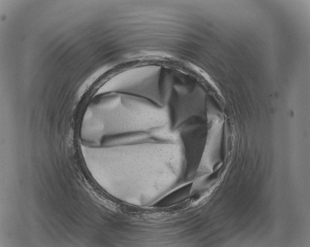 X0000079581066200612221425