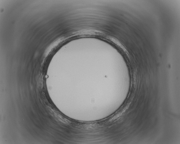 X0000079581067200612221425