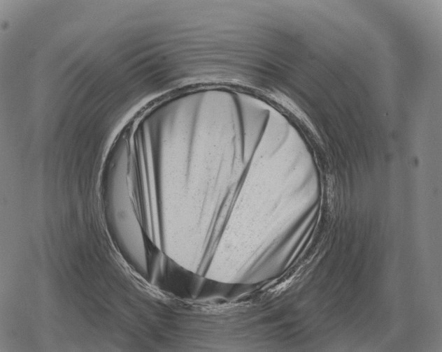 X0000079581068200612221425