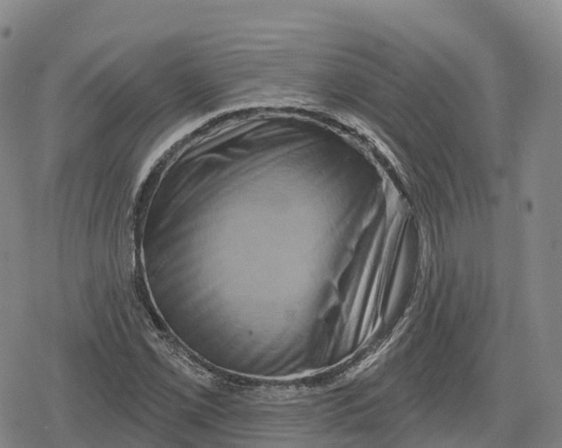 X0000079581069200612221425