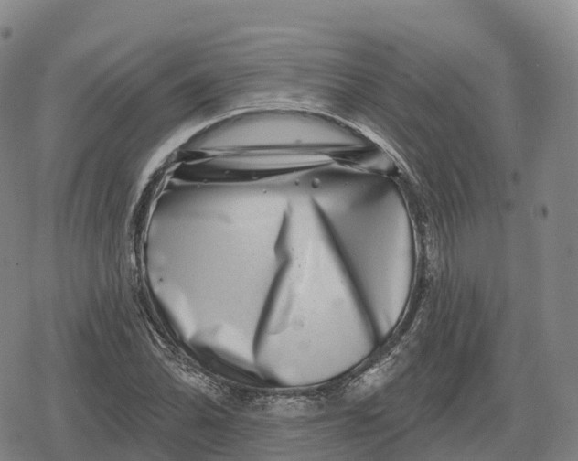 X0000079581070200612221425