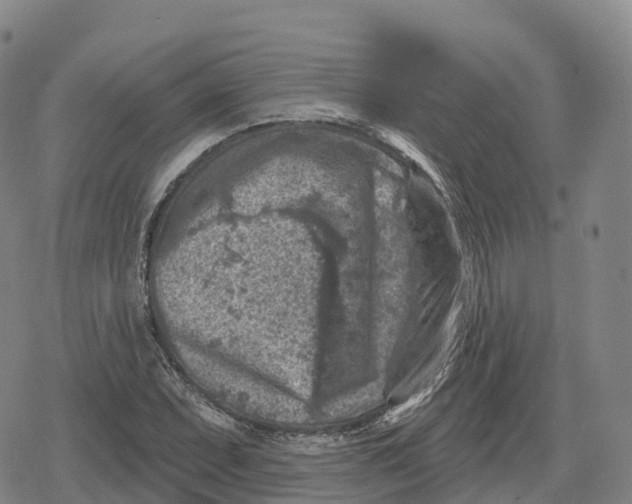 X0000079581071200612221425