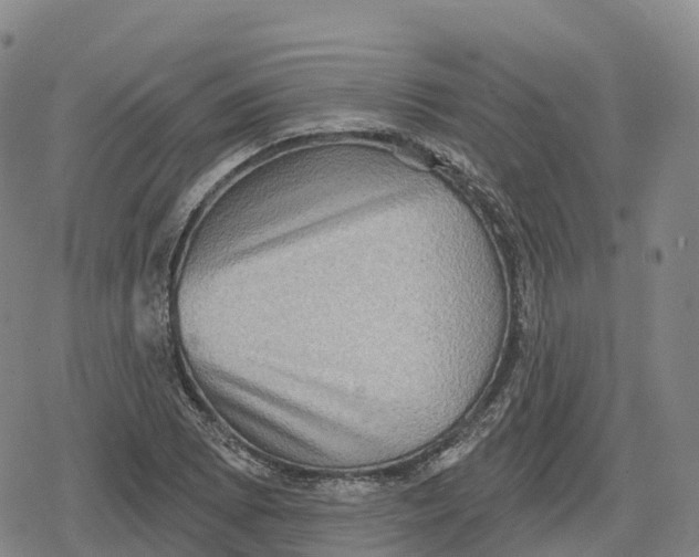 X0000079581073200612221425