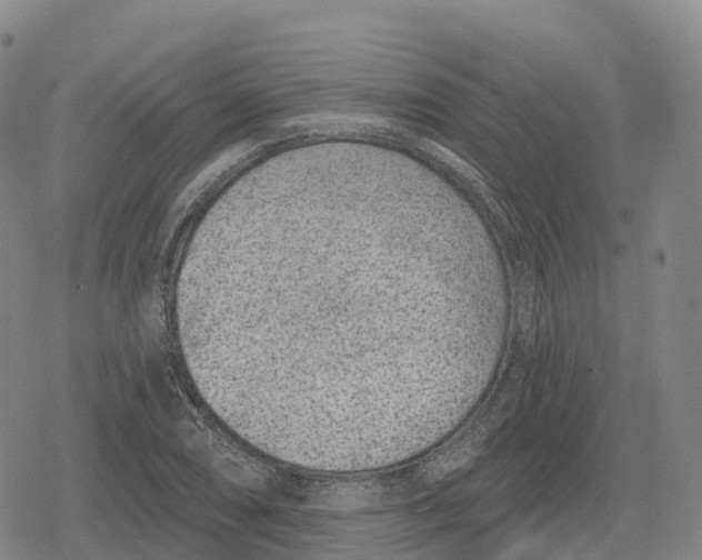 X0000079581074200612221425