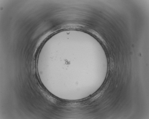 X0000079581075200612221425