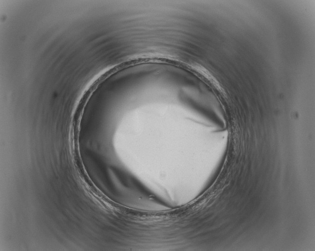 X0000079581076200612221425