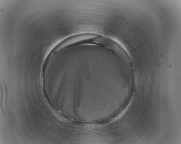 X0000079581077200612221425