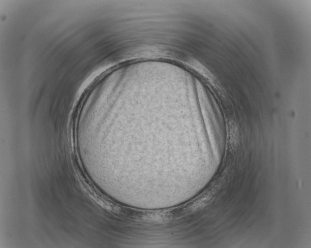 X0000079581078200612221425