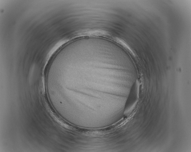 X0000079581079200612221425