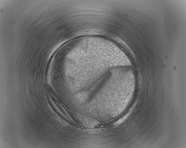 X0000079581081200612221425