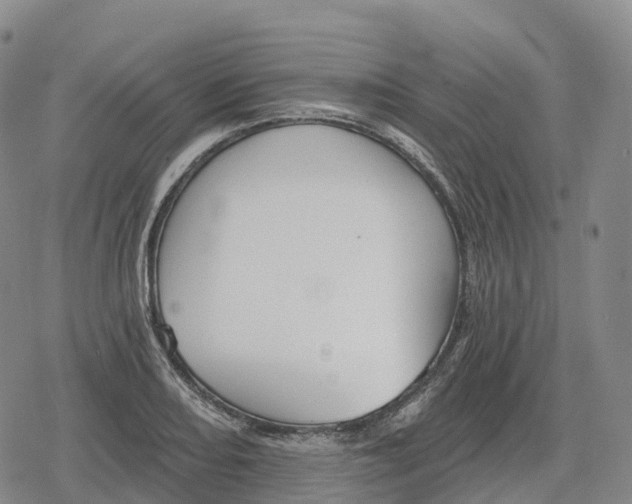 X0000079581082200612221424