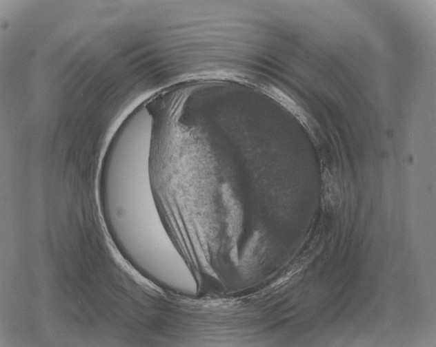 X0000079581084200612221424