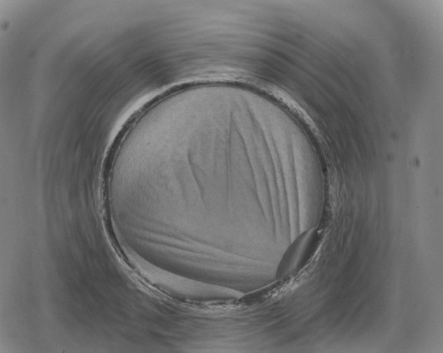 X0000079581085200612221424