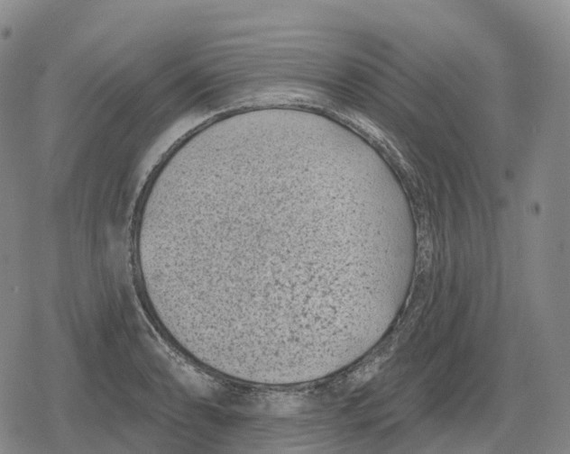 X0000079581086200612221424