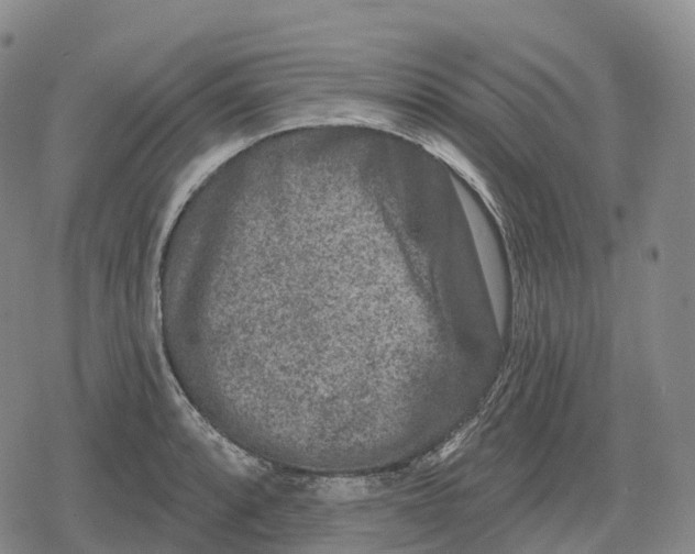 X0000079581088200612221424