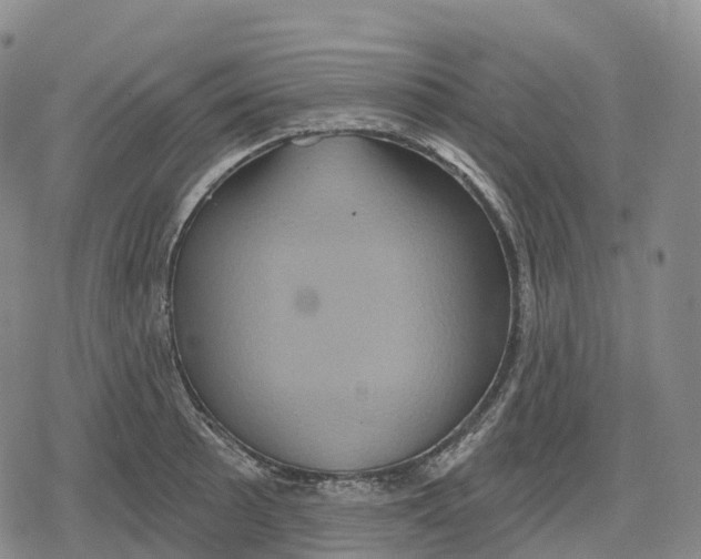 X0000079581089200612221424