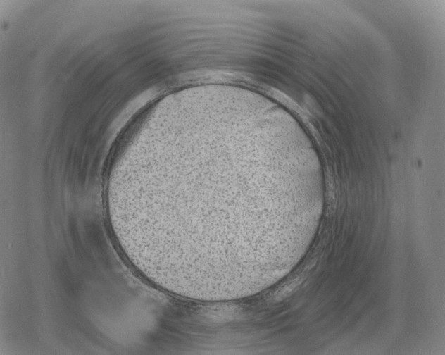 X0000079581090200612221424