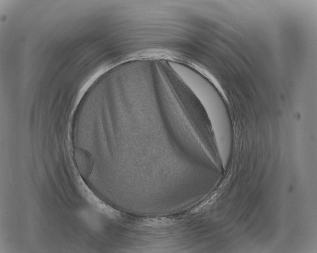 X0000079581091200612221424