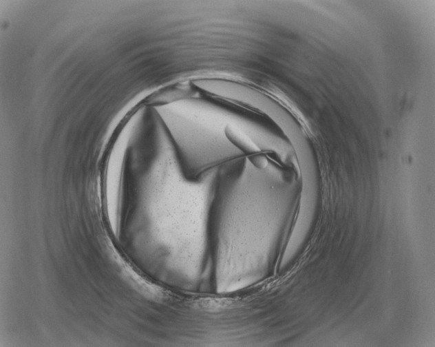 X0000079581092200612221424